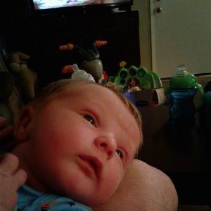 Meet your Posher, Michael